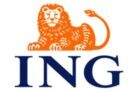 the ing logo